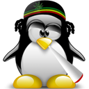 Penguin pingouin pinguino 274